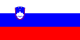 Pagaminta Slovėnijoje